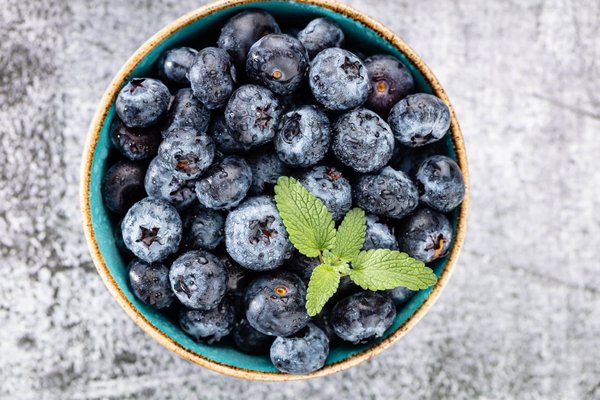 Quels sont les attributs d'un nichoir fabriqué en béton ?