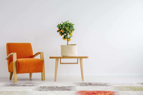 Why choose a wall-mounted neon light to brighten up your interior?